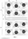 Fig. 07 - THREE-DIMENSIONAL NAND MEMORY DEVICE WITH SPLIT CHANNEL GATES