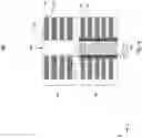 Fig. 11 - Three-dimensional memory device with restrained charge migration and method for forming the same