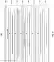 Fig. 18 - Three-dimensional memory device with restrained charge migration and method for forming the same