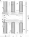 Fig. 42 - Integrated assemblies having vertically-spaced channel material segments, and methods of forming integrated assemblies