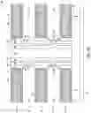 Fig. 43 - Integrated assemblies having vertically-spaced channel material segments, and methods of forming integrated assemblies