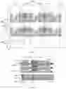 Fig. 02 - Light emitting substrate, wiring substrate and display device
