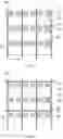 Fig. 02 - Transparent display panel and transparent display apparatus