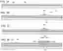 Fig. 08 - Light-emitting device, method for manufacturing the same, and cellular phone
