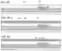 Fig. 09 - Light-emitting device, method for manufacturing the same, and cellular phone