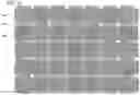 Fig. 16 - Light-emitting device, method for manufacturing the same, and cellular phone