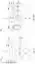 Fig. 28 - Contact plug structure of semiconductor device and method of forming same