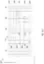 Fig. 40 - Contact plug structure of semiconductor device and method of forming same