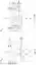 Fig. 43 - Contact plug structure of semiconductor device and method of forming same