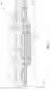 Fig. 11 - Semiconductor structure
