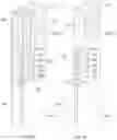 Fig. 04 - FORMATION OF GATE ALL AROUND DEVICE