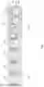 Fig. 08 - FINFET stack gate memory and method of forming thereof
