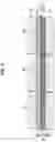 Fig. 03 - Nitride semiconductor light-emitting element