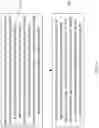Fig. 09 - Pulse compression photoconductive semiconductor switches