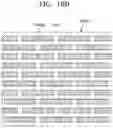 Fig. 19 - Display panel and method of manufacturing the same