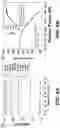 Fig. 10 - High sensitivity stable sensors and methods for manufacturing same