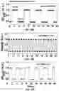 Fig. 13 - High sensitivity stable sensors and methods for manufacturing same