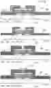 Fig. 03 - PREPARATION AND LAYER
