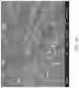 Fig. 14 - Perovskite film, precursor composition thereof, method for preparing the same, and semiconductor element including the same