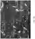Fig. 19 - Perovskite film, precursor composition thereof, method for preparing the same, and semiconductor element including the same