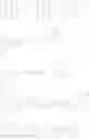 Fig. 51 - ORGANIC LIGHT EMITTING ELEMENT