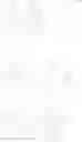 Fig. 71 - ORGANIC LIGHT EMITTING ELEMENT