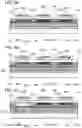 Fig. 06 - Light-emitting device, light-emitting apparatus, electronic device, display device, and lighting device