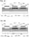 Fig. 08 - Light-emitting device, light-emitting apparatus, electronic device, display device, and lighting device