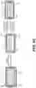 Fig. 13 - Curved two-dimensional nanocomposites for battery electrodes
