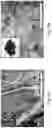 Fig. 07 - MANUFACTURING METHOD OF CARBIDE