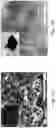 Fig. 12 - MANUFACTURING METHOD OF CARBIDE