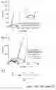 Fig. 07 - REGENERABLE BATTERY ELECTRODE