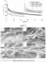 Fig. 08 - REGENERABLE BATTERY ELECTRODE