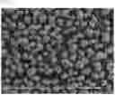 Fig. 04 - Method of preparing positive electrode active material precursor for lithium secondary battery and positive electrode active material precursor prepared by the method