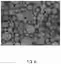 Fig. 07 - COMPOSITE MATERIAL FOR ELECTRODE, METHOD OF FABRICATING THE SAME, AND ELECTRODE OF RECHARGEABLE BATTERY INCLUDING THE SAME