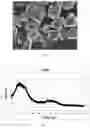 Fig. 02 - Negative electrode active material, process for preparing the same, and battery, battery module, battery pack and apparatus related to the same