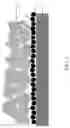 Fig. 02 - Electrochemical device and electronic device