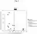Fig. 12 - Separator and method for manufacturing separator
