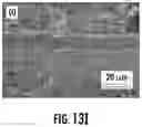 Fig. 13 - Proton-conducting electrolytes for reversible solid oxide cells