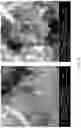Fig. 09 - Construction of ultra high capacity performance battery cells