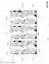 Fig. 06 - SOLID-STATE BIPOLAR BATTERY INCLUDING IONOGEL