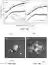 Fig. 13 - Polymer electrolyte membranes