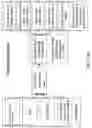 Fig. 97 - Electrode assembly manufacture and device