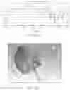 Fig. 18 - SYSTEMS AND DEVICES FOR MUTUAL DIRECTIVE BEAM SWITCH ARRAY