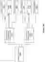 Fig. 35 - ANTENNA SYSTEM WITH MULTIPLE SYNCHRONOUSLY MOVABLE FEEDS