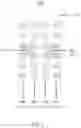 Fig. 03 - Radiating element and base station antenna