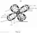 Fig. 04 - Radiating element and base station antenna