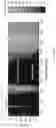 Fig. 38 - CHIP-INTEGRATED MODE-LOCKED LASERS BASED ON THIN-FILM NONLINEAR WAVEGUIDES