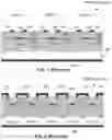 Fig. 02 - PATTERN PROJECTOR BASED ON VERTICAL CAVITY SURFACE EMITTING LASER (VCSEL) ARRAY