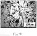Fig. 09 - Magnetic rotor unit, and apparatus and method of manufacturing a magnetic rotor unit